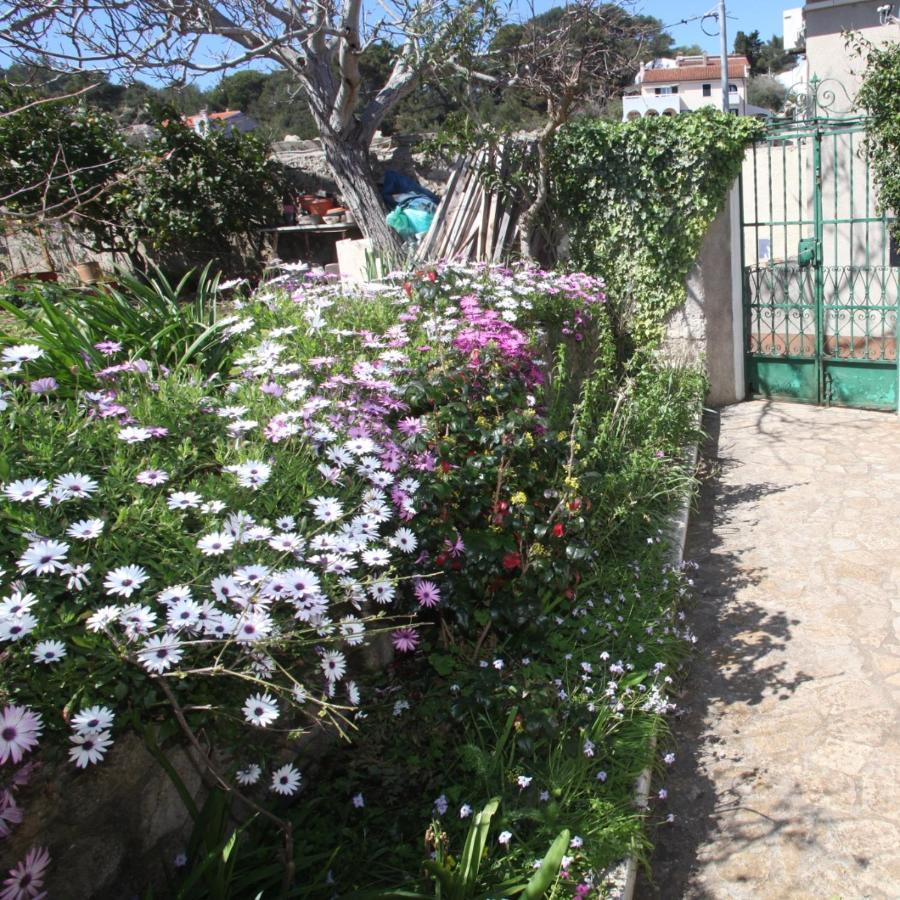 Apartments Anita Veli Lošinj Εξωτερικό φωτογραφία
