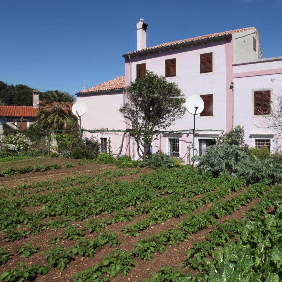 Apartments Anita Veli Lošinj Εξωτερικό φωτογραφία